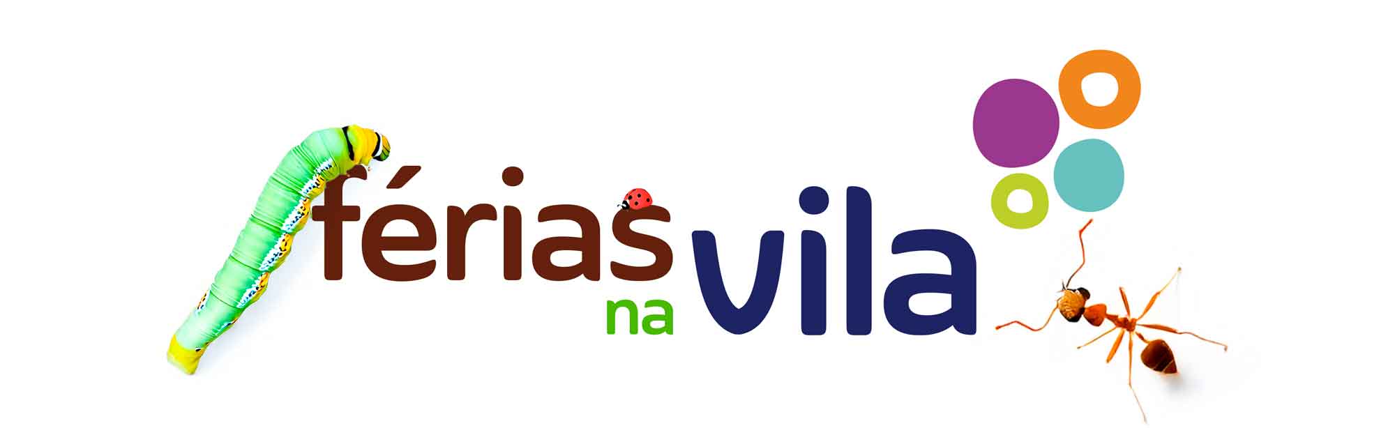 Fundo-site-insetos_01